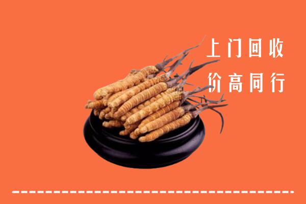 高价求购：改则县回收散虫草