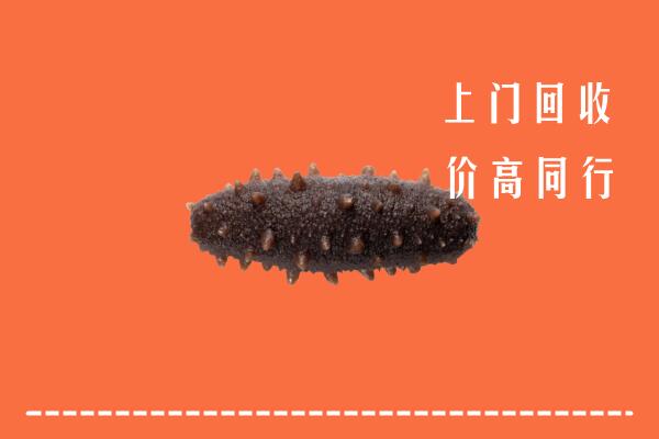 高价求购：改则县回收海参