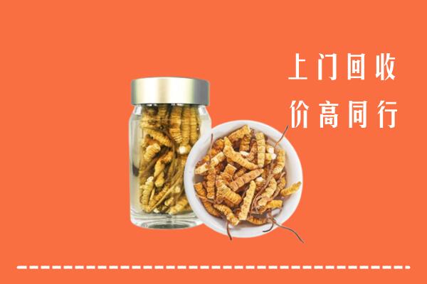 改则县回收冬虫夏草